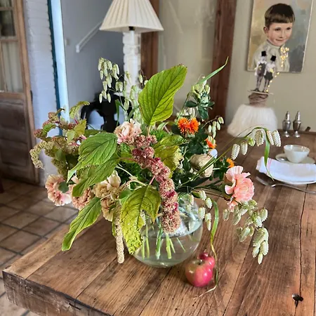 Kleine Schleiblick Hotel Szlezwik