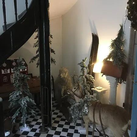 Kleine Schleiblick *