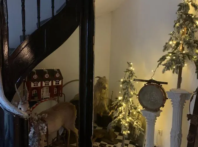 Hotel Kleine Schleiblick *